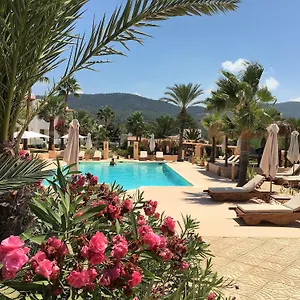 Petunia Ibiza (adults Only) San José